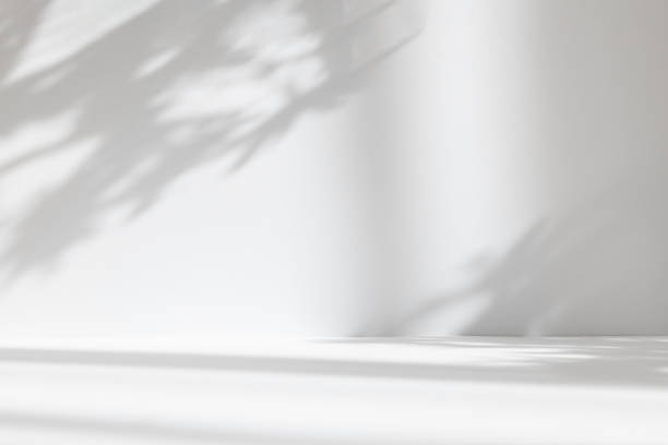 istock Abstract white studio background for product presentation. Empty room with shadows of window and flowers and palm leaves . 3d room with copy space. Summer concert. Blurred backdrop. 1403950388