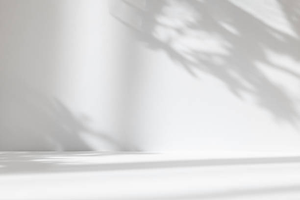 istock Abstract white studio background for product presentation. Empty room with shadows of window and flowers and palm leaves . 3d room with copy space. Summer concert. Blurred backdrop. 1403950415