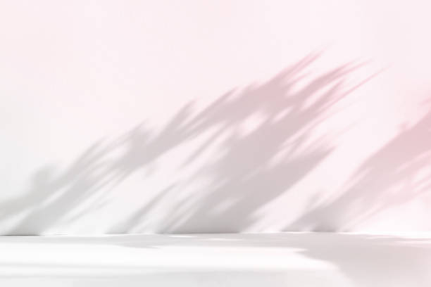 istock Abstract pink studio background for product presentation. Empty room with shadows of window and flowers and palm leaves . 3d room with copy space. Summer concert. Blurred backdrop. 1403950675