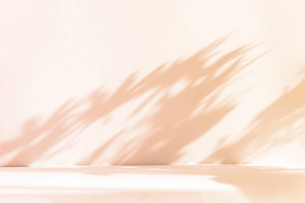 istock Abstract pink studio background for product presentation. Empty room with shadows of window and flowers and palm leaves . 3d room with copy space. Summer concert. Blurred backdrop. 1403950679