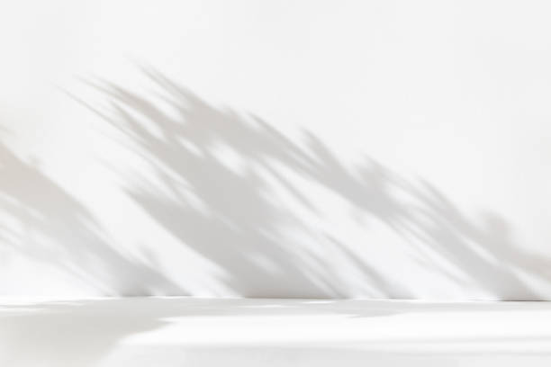 istock Abstract white studio background for product presentation. Empty room with shadows of window and flowers and palm leaves . 3d room with copy space. Summer concert. Blurred backdrop. 1403950686