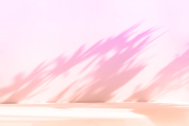 istock Abstract pink studio background for product presentation. Empty room with shadows of window and flowers and palm leaves . 3d room with copy space. Summer concert. Blurred backdrop. 1403950687