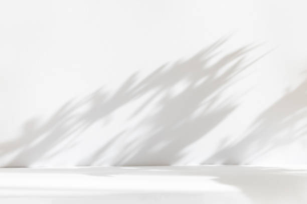 istock Abstract white studio background for product presentation. Empty room with shadows of window and flowers and palm leaves . 3d room with copy space. Summer concert. Blurred backdrop. 1403950767