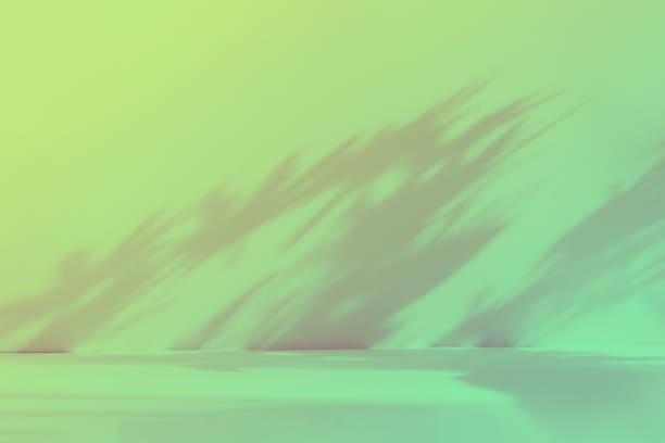 istock Abstract gradient green studio background for product presentation. Empty room with shadows of window and flowers and palm leaves . 3d room with copy space. Summer concert. Blurred backdrop. 1403950775