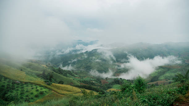 istock View Sunrise sunset fog 1403951489
