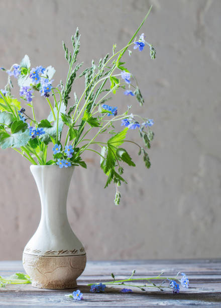 istock wild flowers  in vase  on background white old wall 1403951811