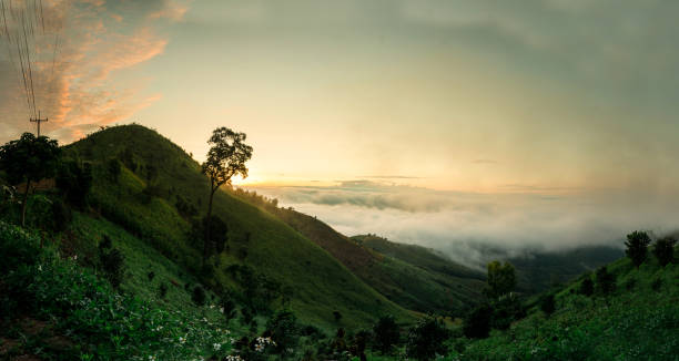 istock View panorama Sunrise sunset fog 1403951951