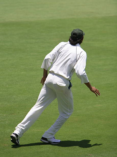 cricketer player - sport of cricket cricket player fielder sport 뉴스 사진 이미지