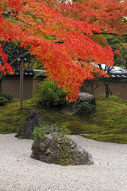 istock Autumn Japanese garden 140395248
