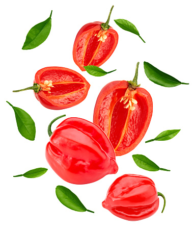 sliced habanero chili red hot pepper with green leaves isolated on white background. clipping path