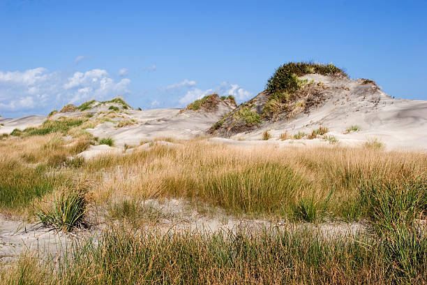 istock Dunes of Hatteras 140395317