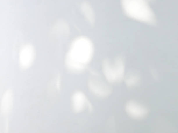 istock Abstract shadow of leaves on a white wall 1403954435