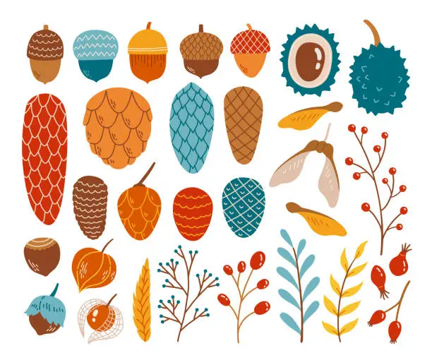 Vector illustration of Hello autumn fall season cone acorn branch chestnut set vector