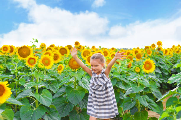 自然を楽しむ美しい少女。ひまわり畑に立つ幸せそうな笑顔の雌の子供。 - 16025 ストックフォトと画像