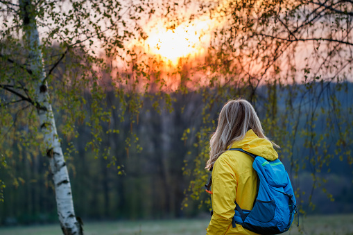 Woman with backpack and yellow jacket hiking in forest during sunset. Female hiker trekking in woodland