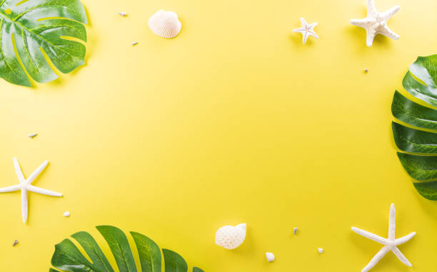 istock Summer composition concept made from starfish, shell and monstera leaf on yellow background. 1403957951