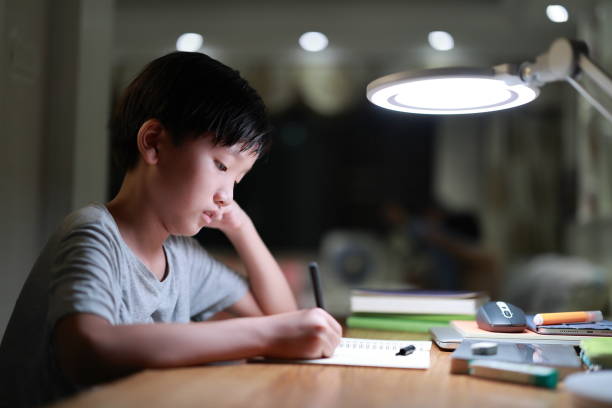 Young boy  doing homework stock photo