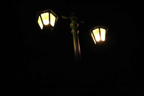 istock Dark night with street light 1403958677