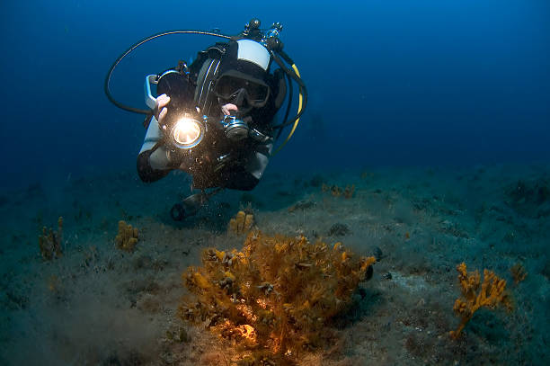 mulher apontando luminária de mergulho em corais, croácia - boia equipamento de desporto aquático - fotografias e filmes do acervo