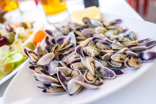 Ration of tellinas, a typical Spanish tapa, especially in beach areas and beach bars in summer.