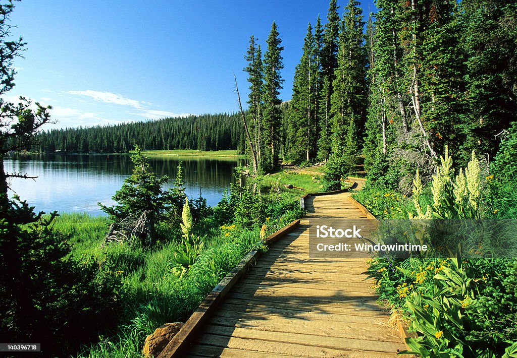 Promenade dans la Nature - Photo de Eau libre de droits