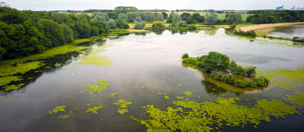 istock Trimley Shores and Limpet Lake 1403969191