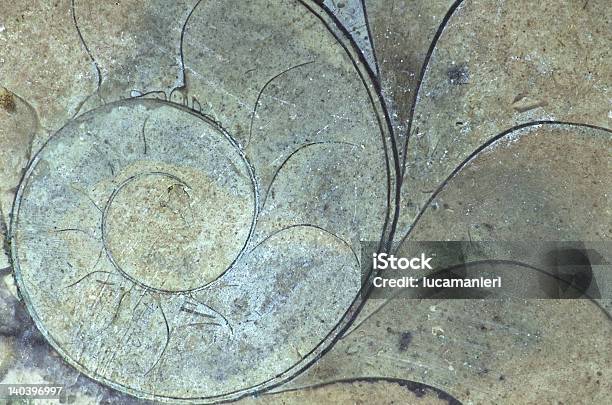 Spiral Stock Photo - Download Image Now - Abstract, Ammonite, Close-up