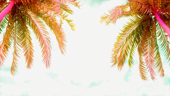 Summer background palm trees sky and sun, 3d render.