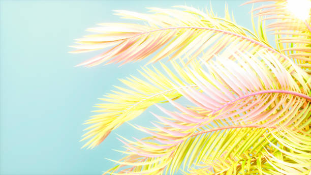 istock Summer background palm trees sky and sun 1403972493