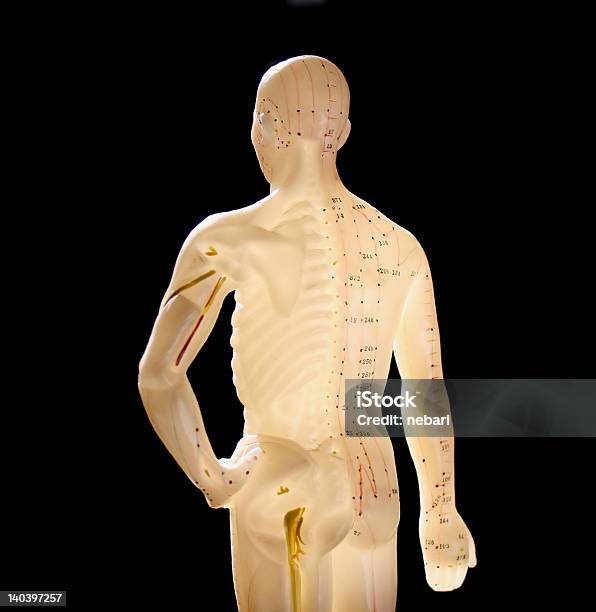 Figura Mostrando Pontos De Acupuntura - Fotografias de stock e mais imagens de Acupuntura - Acupuntura, Tronco, Anatomia