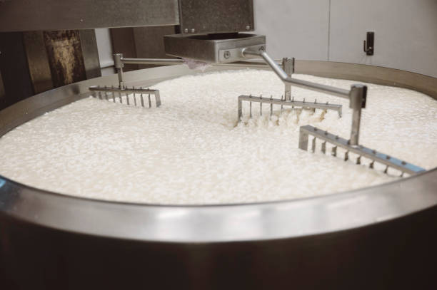 istock Mechanic arms mixing curds 1403973070