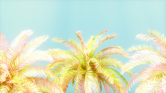 illustration of coconut palm tree on a beach