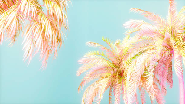 Summer background palm trees sky and sun, 3d render.