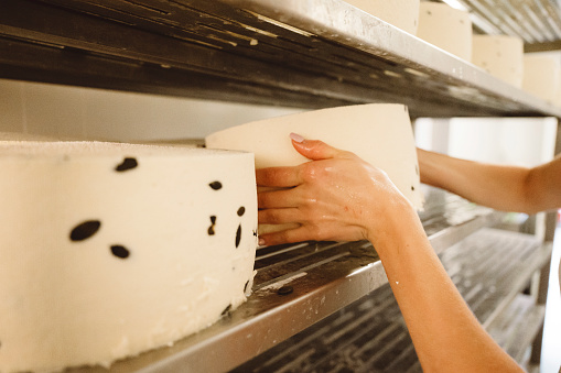 Unrecognizable workers hand putting fresh cheese on a shelf at the dairy farm.