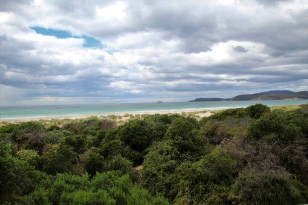 istock Tassie East Coast 1403973392