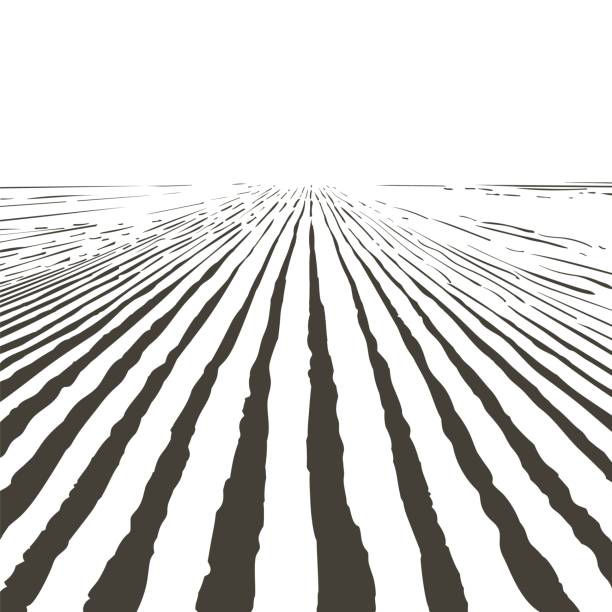 ilustraciones, imágenes clip art, dibujos animados e iconos de stock de paisaje de campo de cultivo vectorial. patrón de surcos en un arado preparado para la siembra de cultivos. ilustración de boceto de grabado realista vintage. - surco agricultura