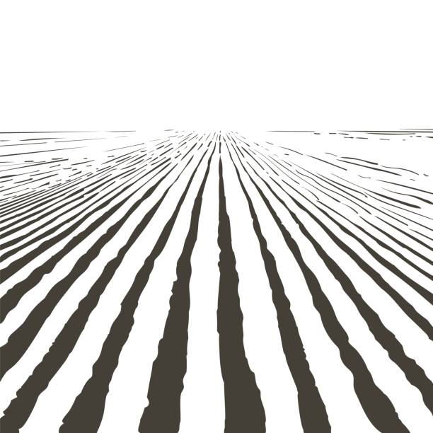 векторный ландшафт фермерских полей. узор борозд в вспаханном, подготовленном для посадки сельскохозяйственных культур. винтажная реалис� - farm vegetable black landscape stock illustrations