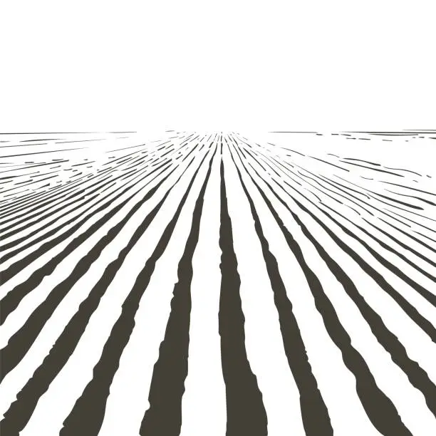 Vector illustration of Vector farm field landscape. Furrows pattern in a plowed prepared for crops planting. Vintage realistic engraving sketch illustration.