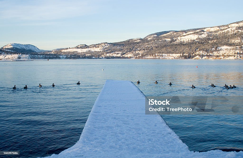 Schnee-dock - Lizenzfrei Kelowna Stock-Foto