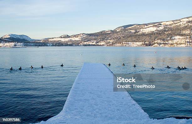 Schneedock Stockfoto und mehr Bilder von Kelowna - Kelowna, Winter, Britisch-Kolumbien