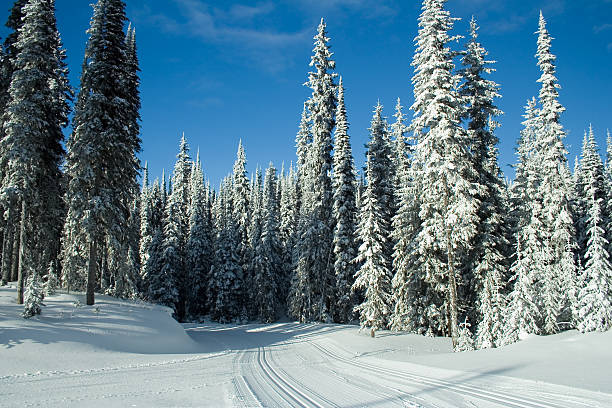 더 스키복 heaven - clear sky ski footpath snow 뉴스 사진 이미지