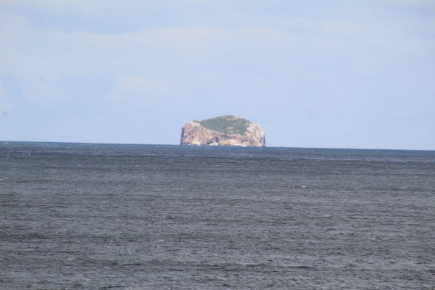 istock Tassie East Coast 1403978512