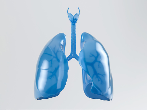 750+ Lungs Pictures | Download Free Images on Unsplash