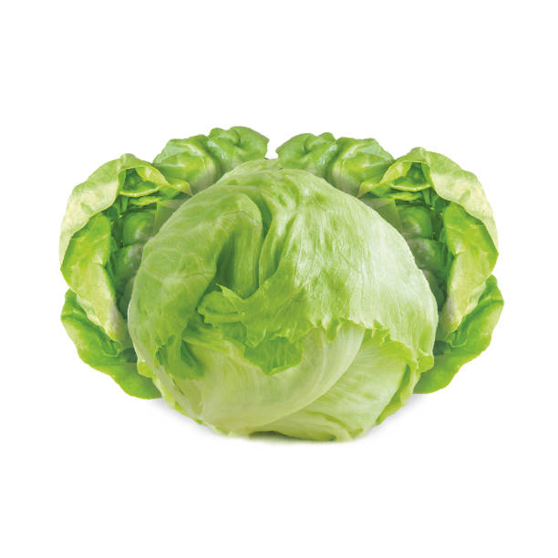 istock raw whole cabbage, lettuce, leaf, related to vegetable, kitchen cooking, vegetarian, diet, nature isolated on white background 1403980378