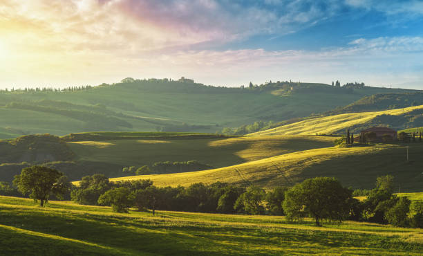 istock Morning sunlight in Tuscany 1403980476