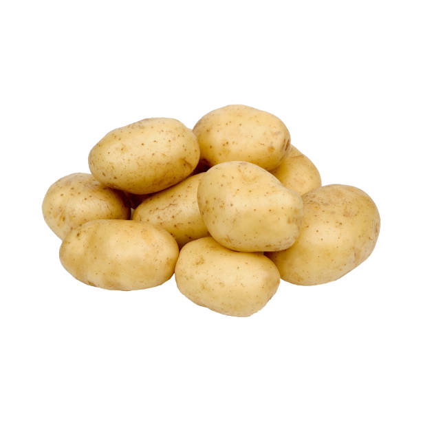 istock raw whole pemberton potato, carbohydrate, object design close up, freshness isolated on white background 1403981368