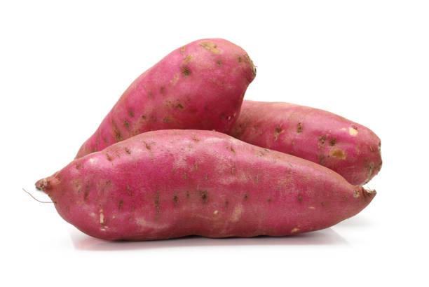 야채, 농장, 부엌, 요리, 탄수화물, 영양, 흰색 배경에 고립 된 세 가지 개체와 관련된 원시 전체 붉은 고구마 - food sweet potato yam vegetable 뉴스 사진 이미지