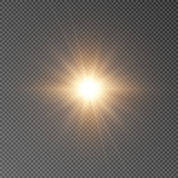ベクトルイラストレーションのための光線とグレアによる明るい光の効果。 - wilted plant flash点のイラスト素材／クリップアート素材／マンガ素材／アイコン素材