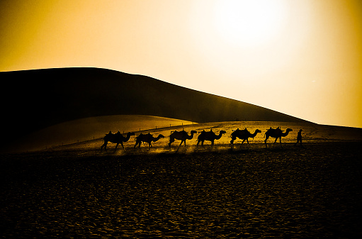 Desert hermit and his camels at Yueya spring in Jiuquan City, Gansu Province, China  沙漠行者與他的駱駝@中國甘肅省酒泉市鳴沙山月牙泉