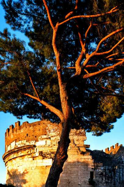 pedra italianas pine - caecilia metella - fotografias e filmes do acervo